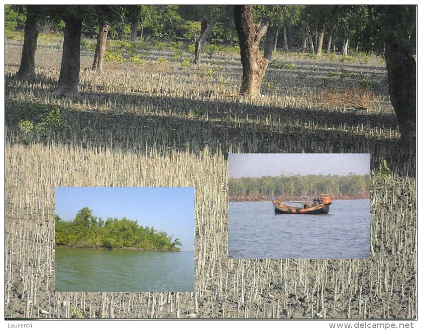 UNESCO World Heritage - Site UNESCO Bangladesh - The Sundarbans - Bangladesch