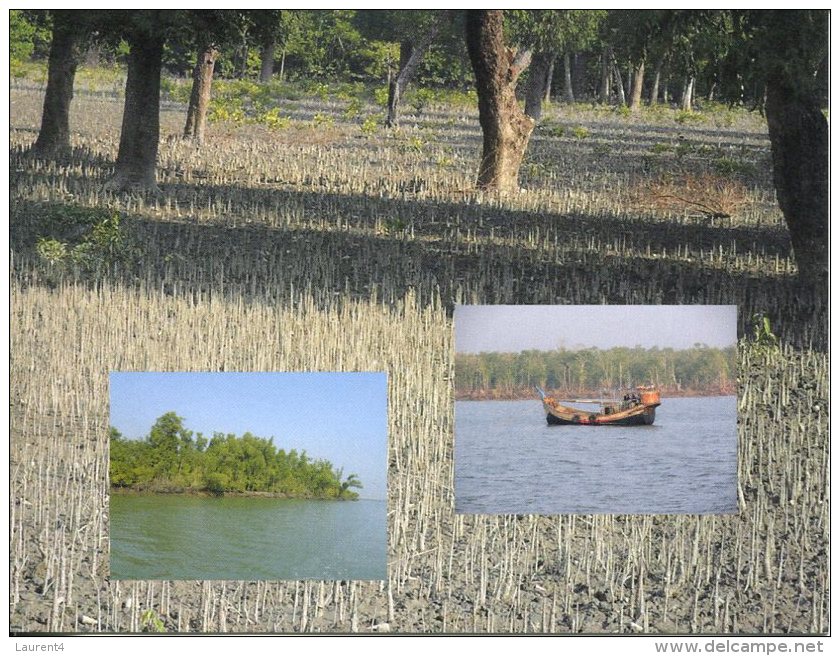 UNESCO World Heritage - Site UNESCO Bangladesh - The Sundarbans - Bangladesh