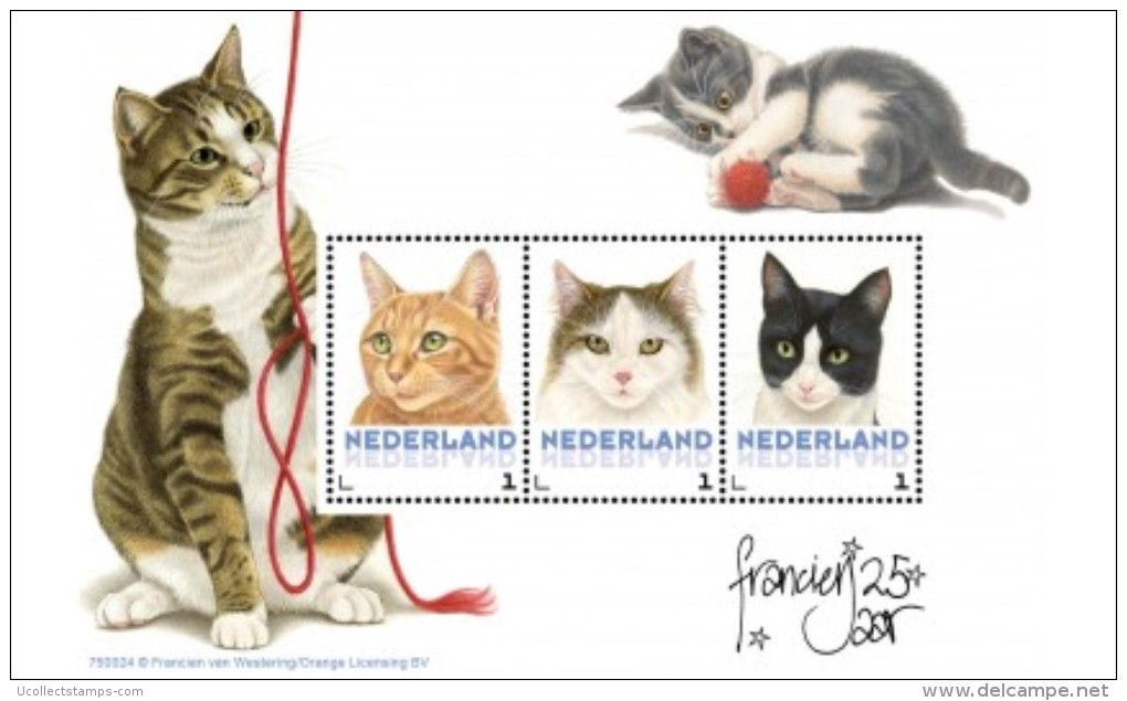 Nederland  2015  Katten 4 Cats Katzen   Velletje /sheetlet  Postfris/mnh/neuf - Nuovi