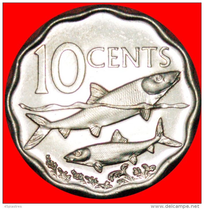 &#9733;SHIP & FISHES: BAHAMAS &#9733; 10 CENTS 2007 UNC! LOW START&#9733;NO RESERVE!!! - Bahamas