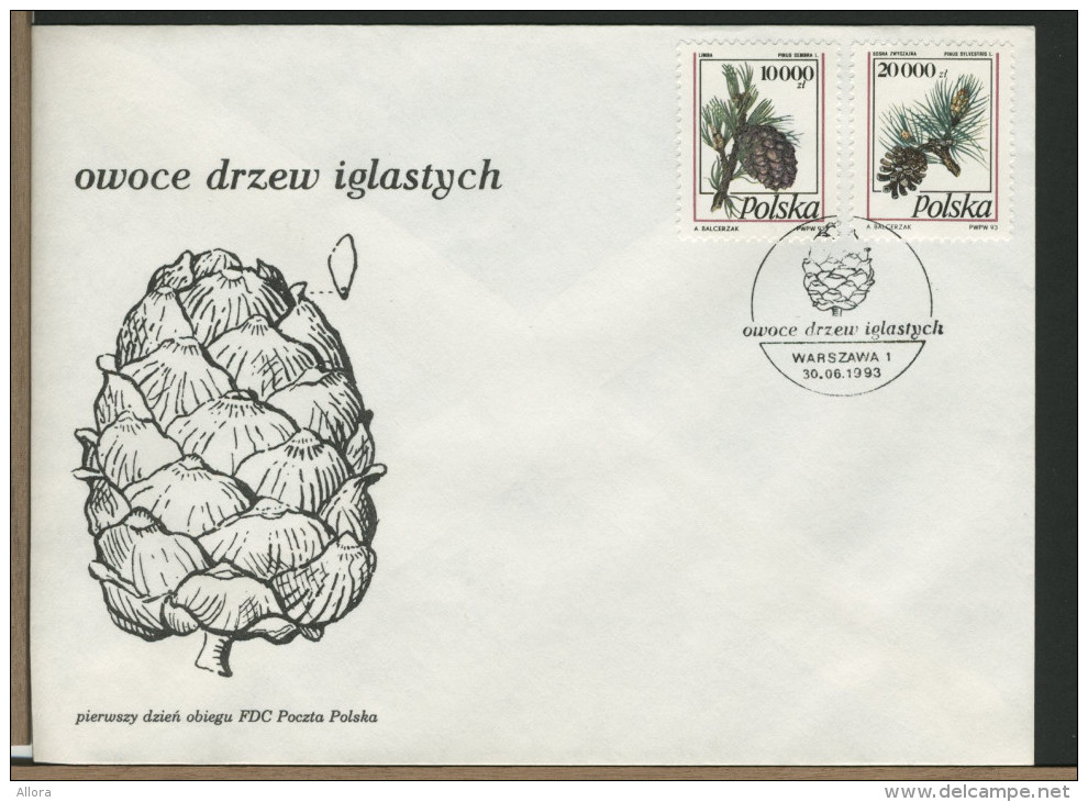 POLSKA - FDC - PINUS  -  PIGNA - Vegetazione