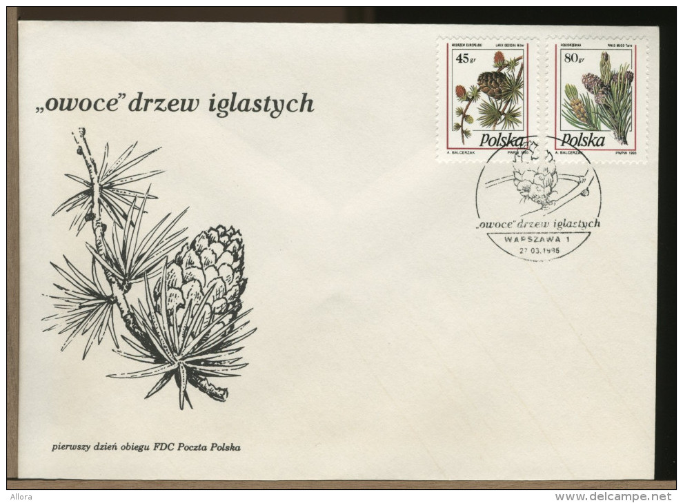 POLSKA - FDC - LARIX - LARICE - Vegetazione