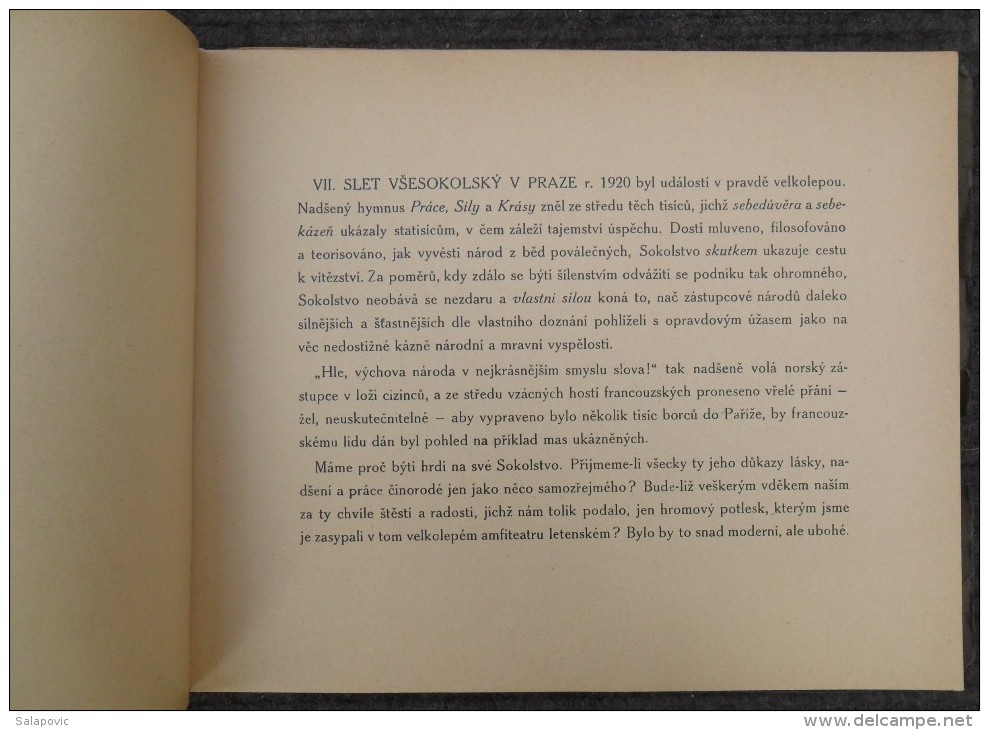 VII. SLET VŠESOKOLSKÝ V PRAZE  1920 SOKOL - Slawische Sprachen