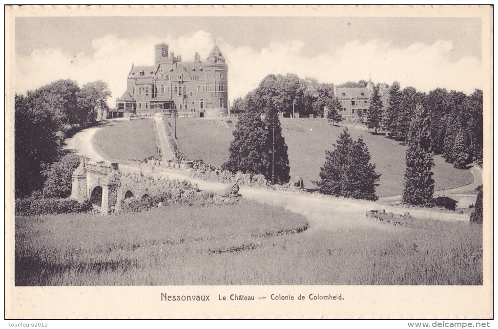 NESSONVAUX : Le Château - Colonie De Colomheid - Trooz