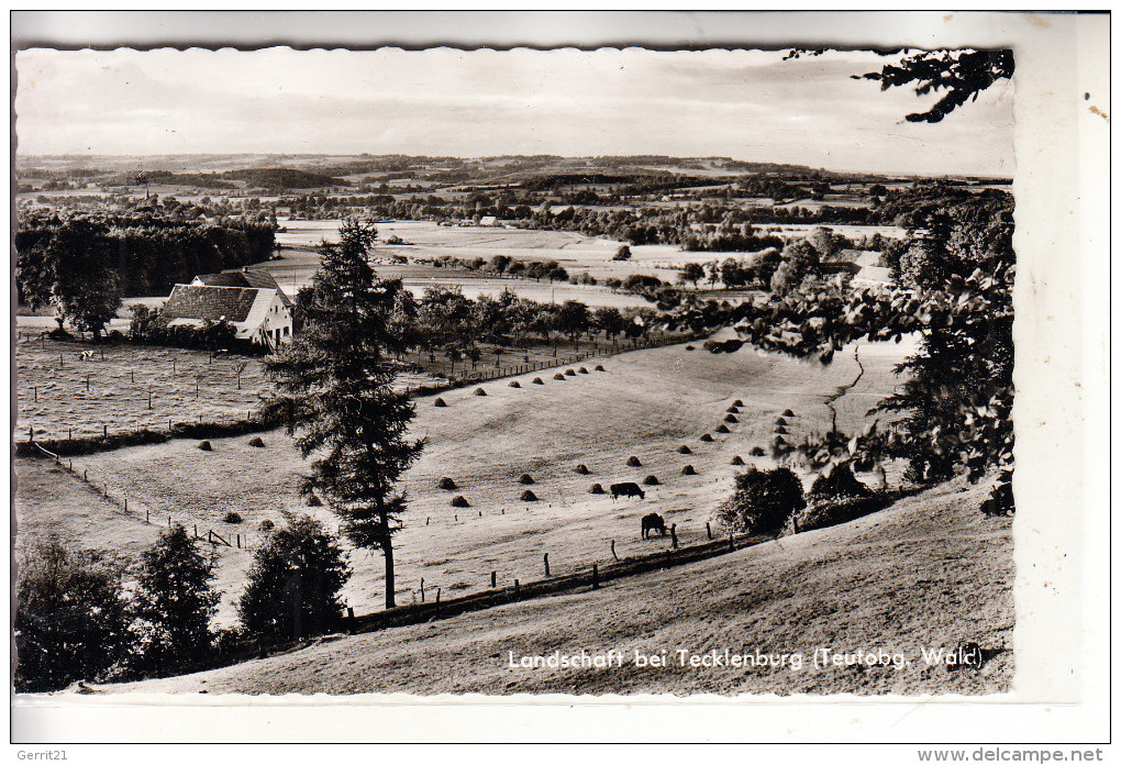 4542 TECKLENBURG, Landschaft Bei Tecklenburg - Steinfurt