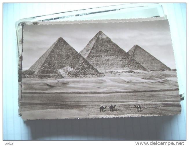 Egypte Egypt Pyramids Pyramides  And Little Camels - Pyramids