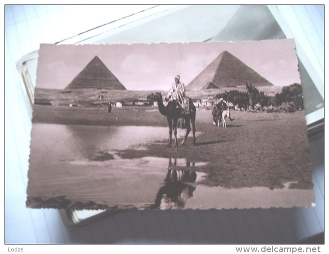 Egypte Egypt Pyramids Pyramides  And Men On Camels - Pyramids