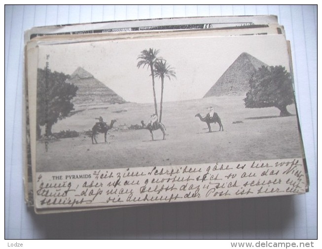 Egypte Egypt Pyramids Pyramides  Camels And Trees - Pyramids