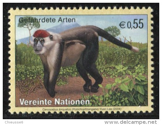 (cl. 4 - P.41) Nations Unies - Vienne ** N° 420 (ref. Michel Au Dos)   Singe : Cercocède - - Ungebraucht