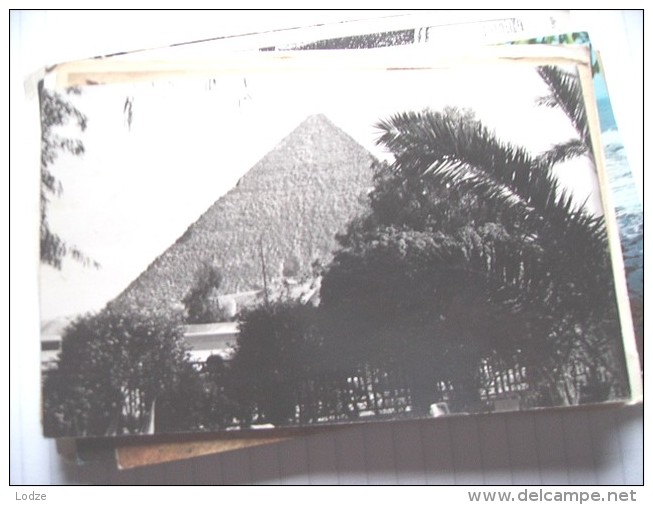 Egypte Egypt Pyramid Pyramide  And Environment - Pyramides