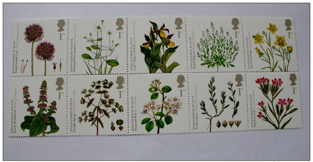 ENDANGERED PLANTS 2009 - Nuevos