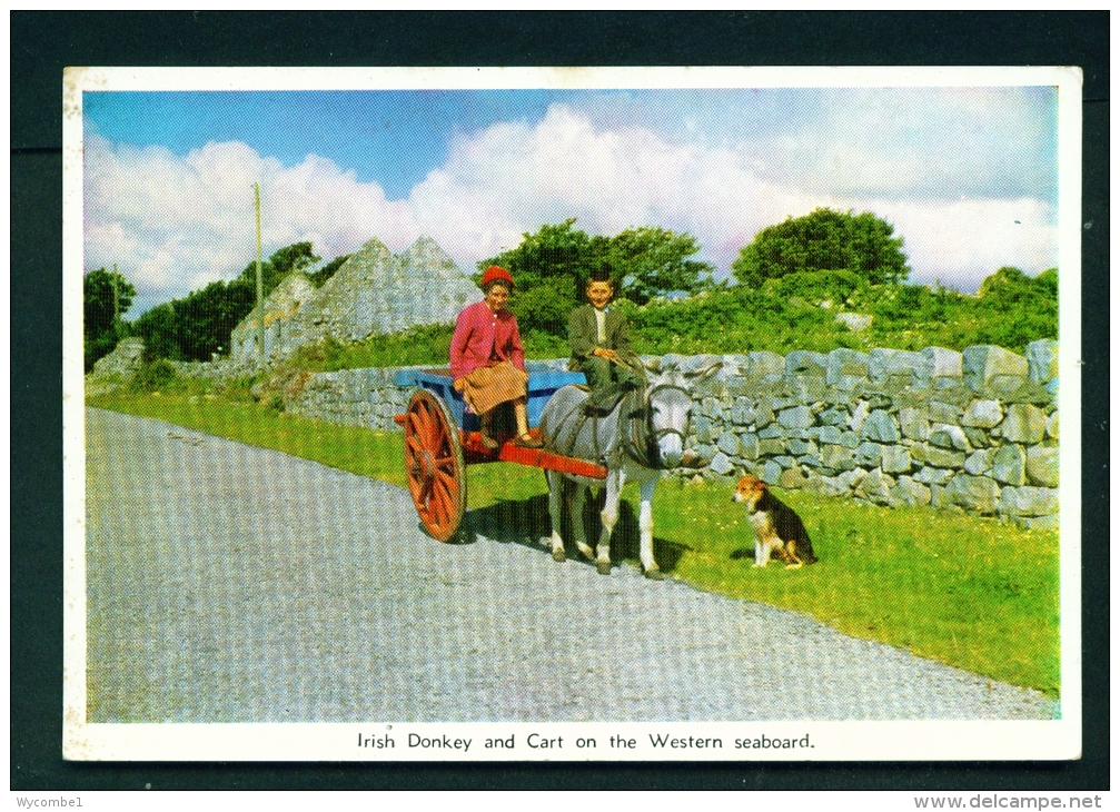 IRELAND  -  Irish Donkey And Cart  Unused Vintage Postcard As Scan - Other & Unclassified