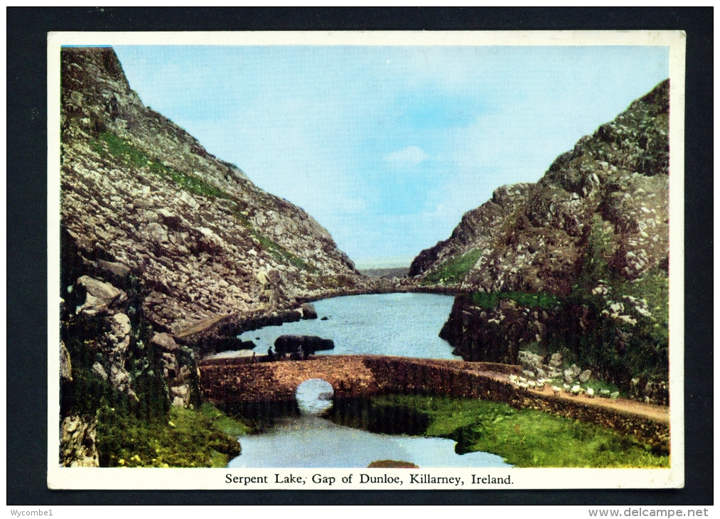 IRELAND  -  Serpent Lake  Gap Of Dunloe  Unused Vintage Postcard As Scan - Kerry