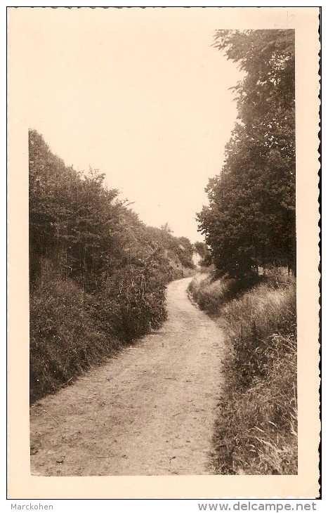 BASSENGE (4690) : GLONS - La Thier Gros-Jacques. Carte-Photo Unique. - Bassenge