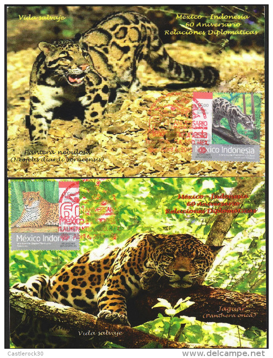 G)2013 MEXICO, CLOUDED LEOPARD-MEXICAN JAGUAR, DIPLOMATIC RELATIONS MEXICO-INDONESIA 60TH ANNIVERSARY, 2 MAXI-CARDS, UNU - Mexico