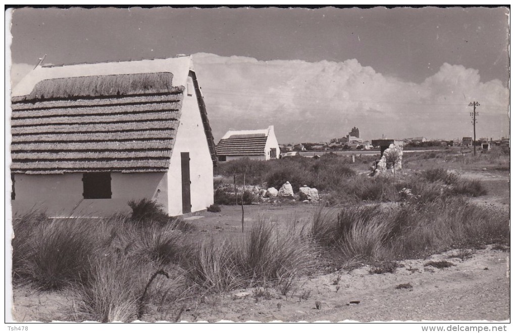 13---SAINTES MARIES DE LA MER---cabanes Des Guardians---voir 2 Scans - Saintes Maries De La Mer