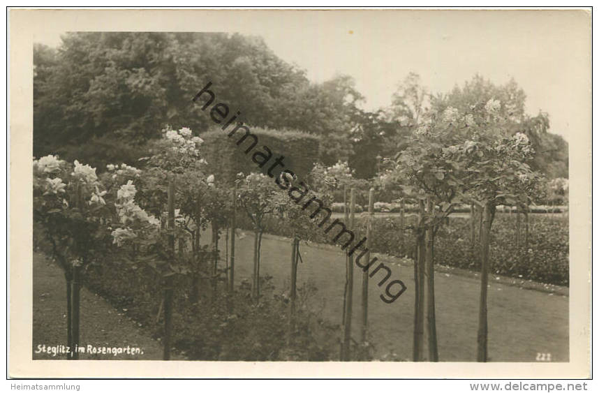 Berlin-Steglitz Im Rosengarten - Foto-AK 40er Jahre - Rückseitig Keine AK-Einteilung - Steglitz