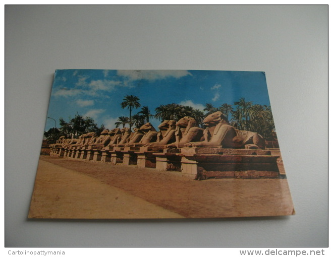 STORIA POSTALE FRANCOBOLLO COMMEMORATIVO Egypt Egitto Karnak The Sphinx Avenue Via Delle Sfingi - Sphinx