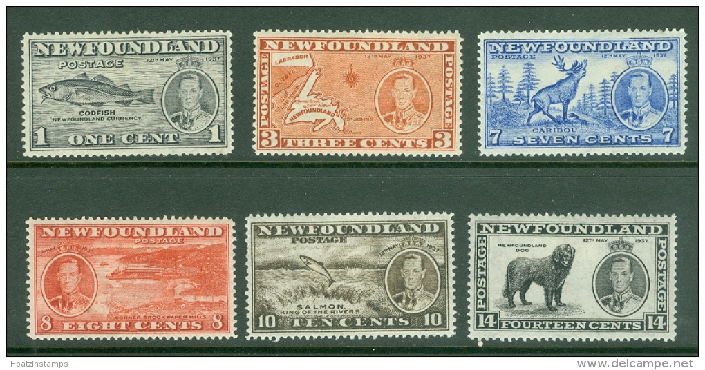 Newfoundland: 1937   Coronation Issue  Set  [Perf: 13.7]   MH - 1908-1947