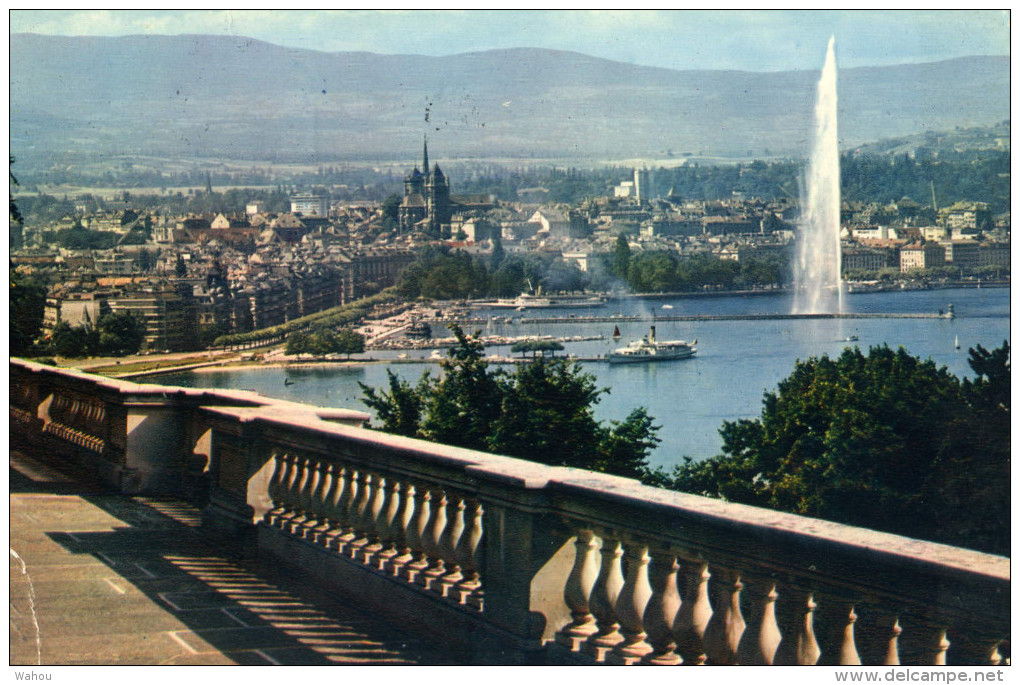 GENEVE   -   La Rade Et La Ville Depuis Cologny - Cologny