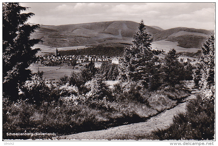 AK Schmallenberg - Sauerland - 1961 (19626) - Schmallenberg