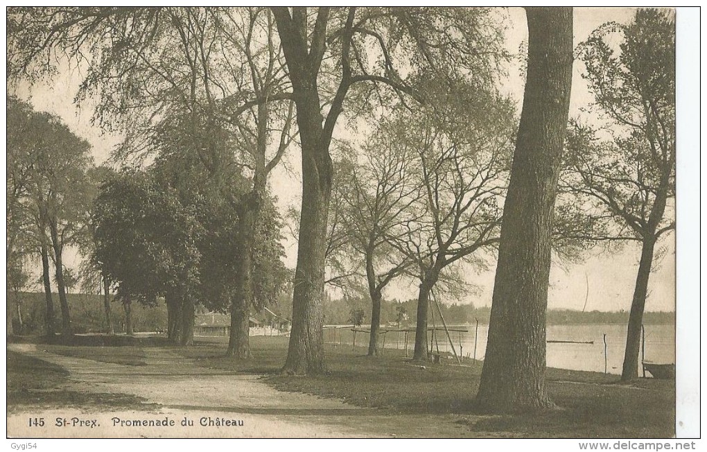 St Prex Promenade Du Château CPA 1911 - Saint-Prex