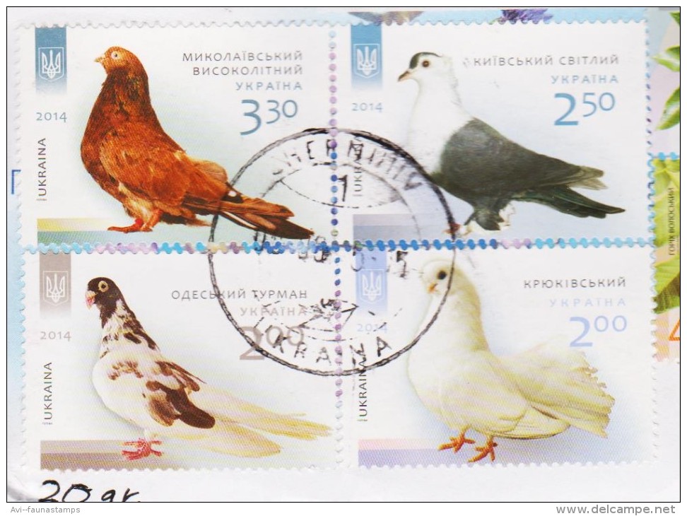 UKRAINE. 2014, Birds, Pigeins Used On Piece - Other & Unclassified