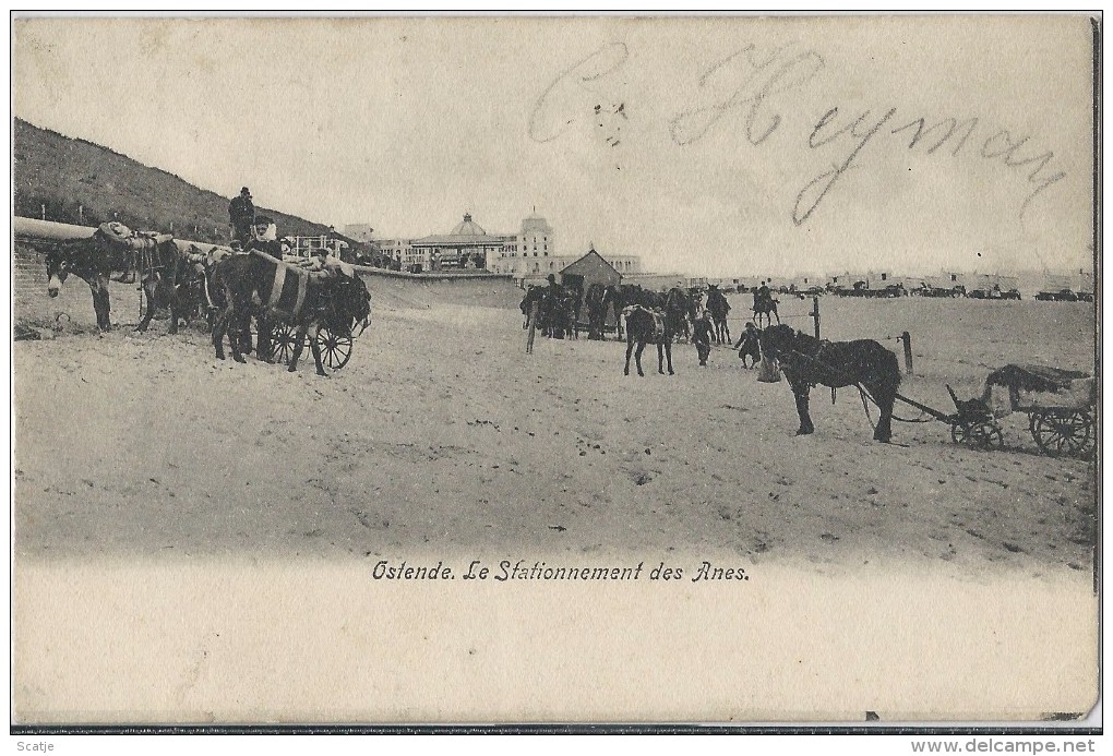 Ostende     Le Stationnement Des Anes,   1905 - Oostende