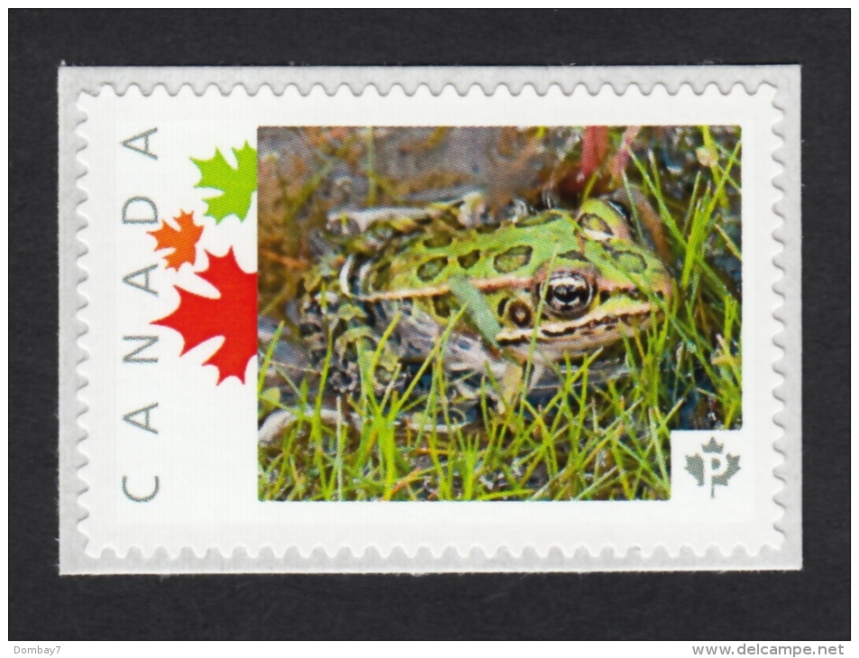 NEW! FROG In The Grass Picture Postage MNH Stamp Canada 2015 [p15/102fg3/1] - Frogs