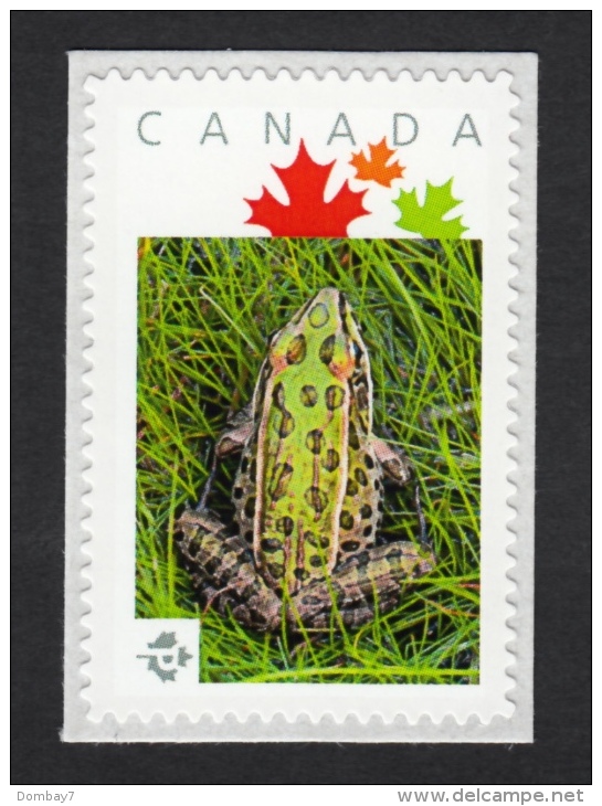 NEW! LEOPARD FROG Picture Postage MNH Stamp First Day Of Issue 29 Oct,2015  Canada 2015 [p15/102fg3/3] - Frogs