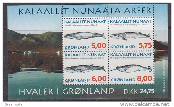 Greenland 1997 Whales M/s  ** Mnh (25968C) - Blocs