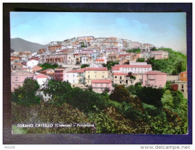 CALABRIA -COSENZA -TORANO CASTELLO -F.G. LOTTO N°467 - Cosenza