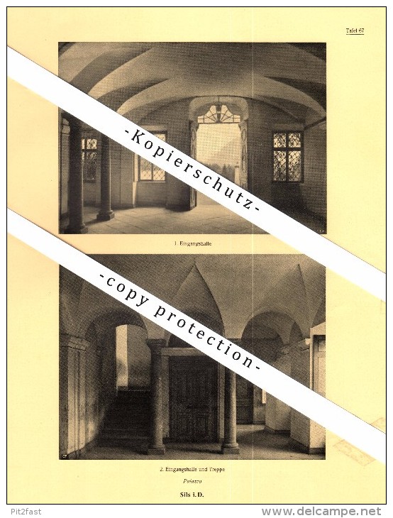 Photographien / Ansichten , 1925 , Sils Im Domleschg , Prospekt , Architektur , Fotos !!! - Domleschg