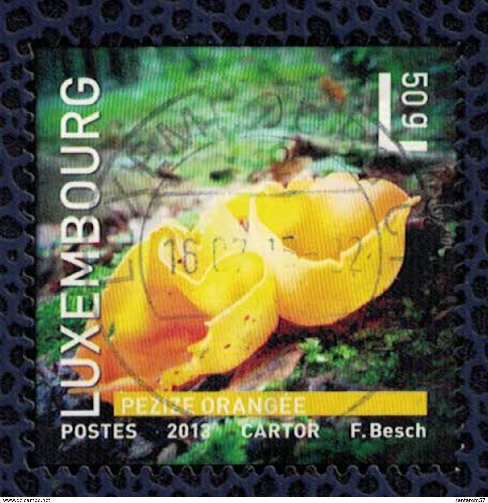 Luxembourg 2013 Oblitéré Used Champignon Pezize Orangée - Used Stamps