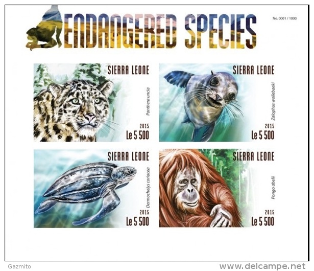 Sierra Leone 2015, Animali, Turtle, Orango, Seal, Panther, 4val In BF IMPERFORATED - Gorilla's
