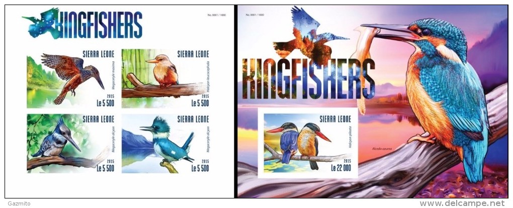 Sierra Leone 2015, Kingfisher, 4val In BF +BF IMPERFORATED - Albatros & Stormvogels