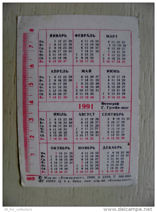 Small Calendar From Azerbaijan Baku 1991 Woman Erotic - Kleinformat : 1991-00