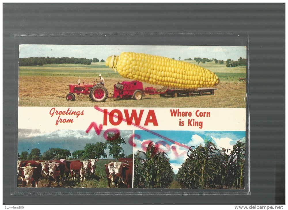 Cpm St000450 Iowa  Where Corn Is King (pays Du Mais Roi) Tracteur , Vache , Champ De Mais - Autres & Non Classés