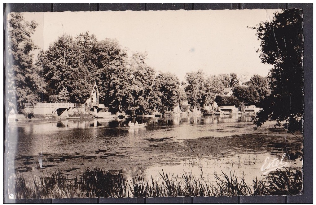 FRANCE OLIVET LE BORD DU LOIRET - Autres & Non Classés