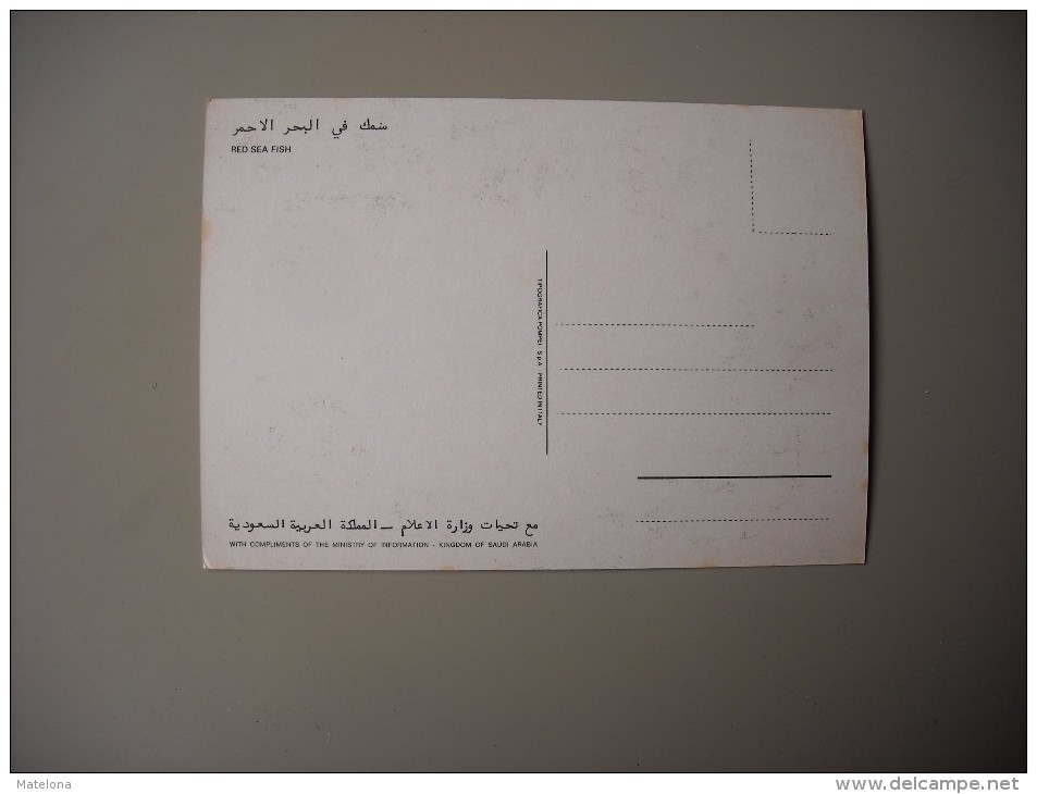 ARABIE SAOUDITE KINGDOM OF SAUDI ARABIA RED SEA FISH - Arabie Saoudite
