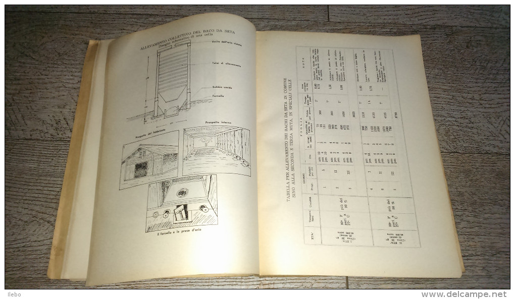 Produzione Serica Giapponese In Comparazione Con Quella Italiana  Sériculture Ver à Soie 1944 - Livres Anciens