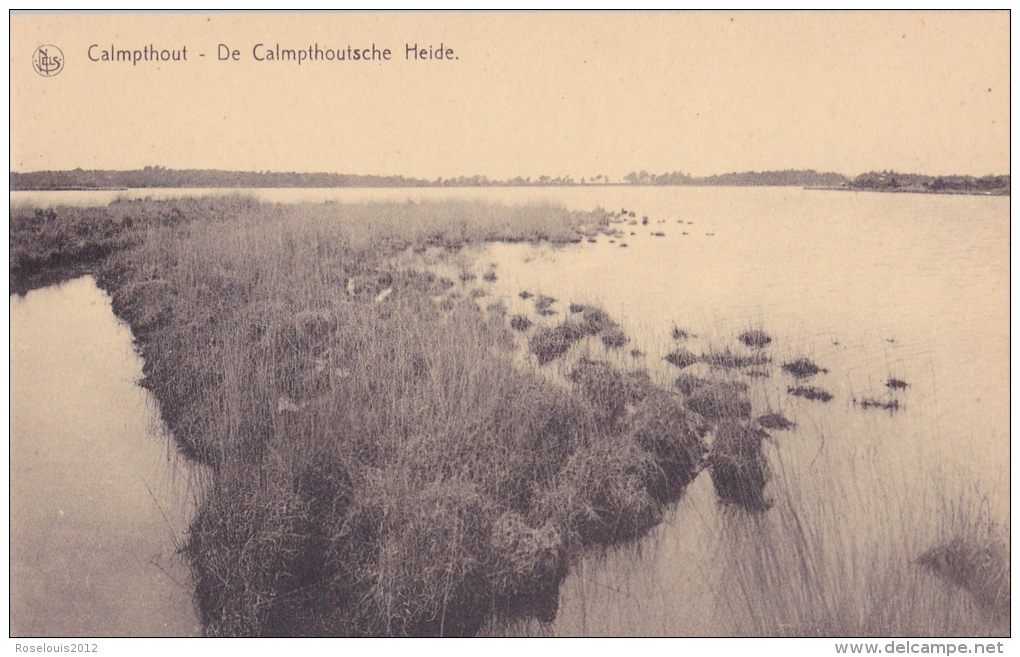 KALMTHOUT / CALMPTHOUT : De Calmpthoutsche Heide - Kalmthout