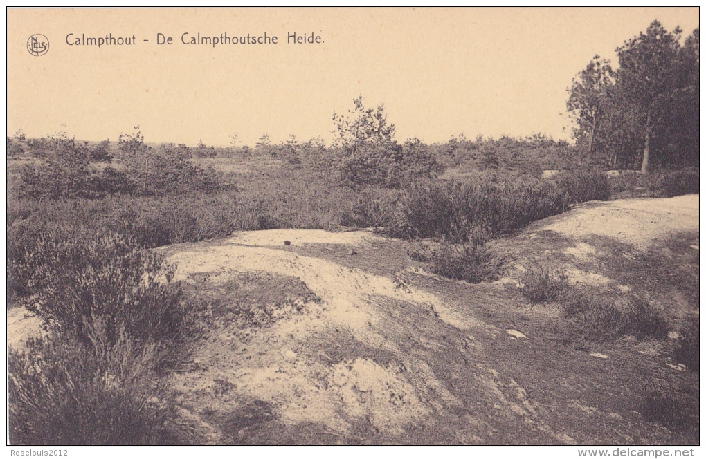 KALMTHOUT / CALMPTHOUT : De Calmpthoutsche Heide - Kalmthout