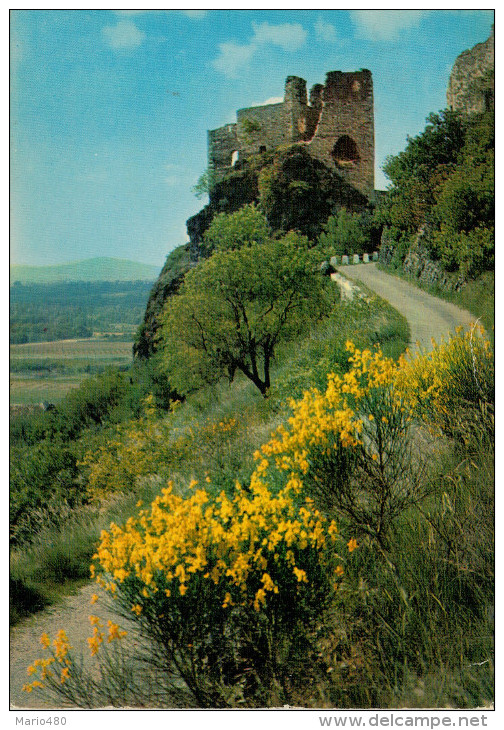 ROCHEMAURE  RUINES DE L'ANCIEN CHATEAU DOMINANT LA VALLEE DU RHONE   (VIAGGIATA) - Rochemaure