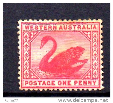 Y1081 - WESTERN AUSTRALIA 1885 , Gibbons N. 95  Fil CA . Senza Gomma - Ungebraucht