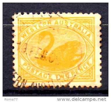 Y1083 - WESTERN AUSTRALIA 1905 , Gibbons N. 140  Fil Crown A Coricata : Uno Con A A Dx Ed Uno Con A A Sx - Neufs