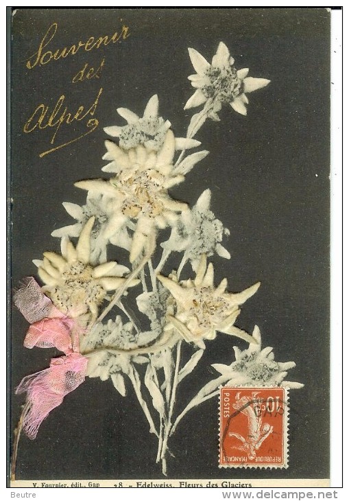 CPA SOUVENIR DES ALPES EDELWEISS 12438 - Fleurs