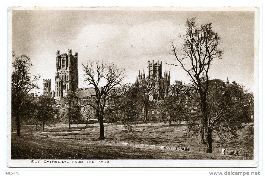 ELY CATHEDRAL FROM THE PARK - Ely