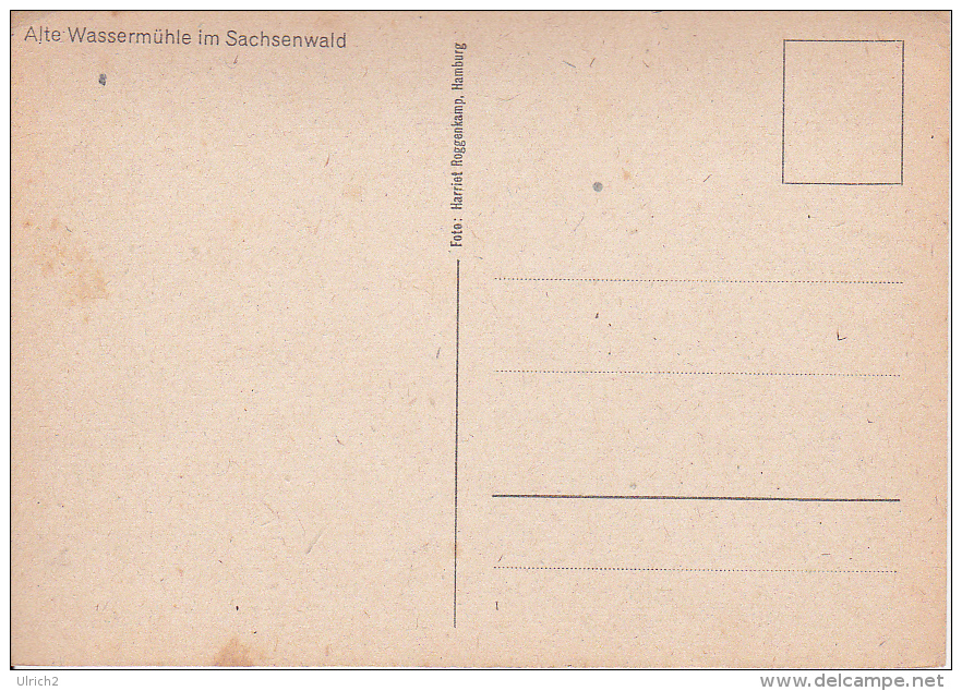 AK Alte Wassermühle Im Sachsenwald   (19717) - Lauenburg