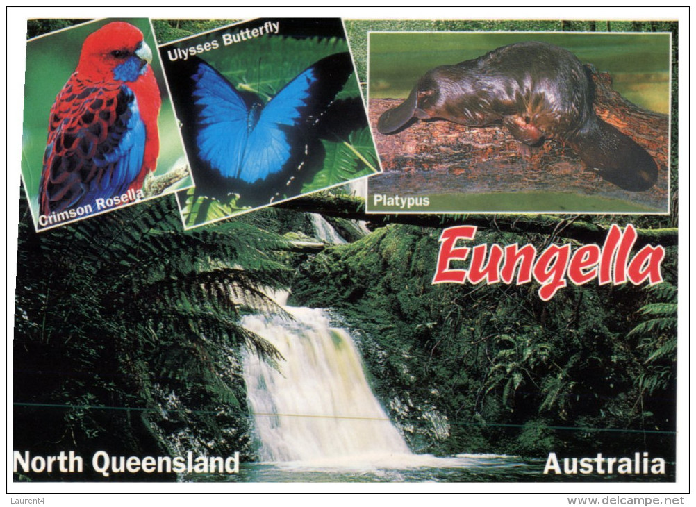 (766) Australia - QLD - Enngella - Far North Queensland